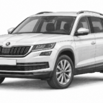 Skoda Kodiaq (1-2017 - 3-2024)
