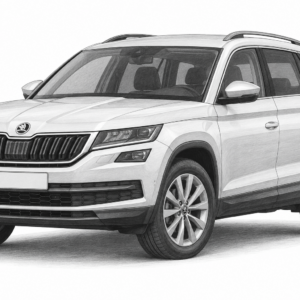 Skoda Kodiaq (1-2017 - 3-2024)