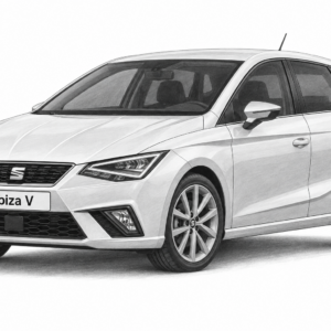 Seat Ibiza V