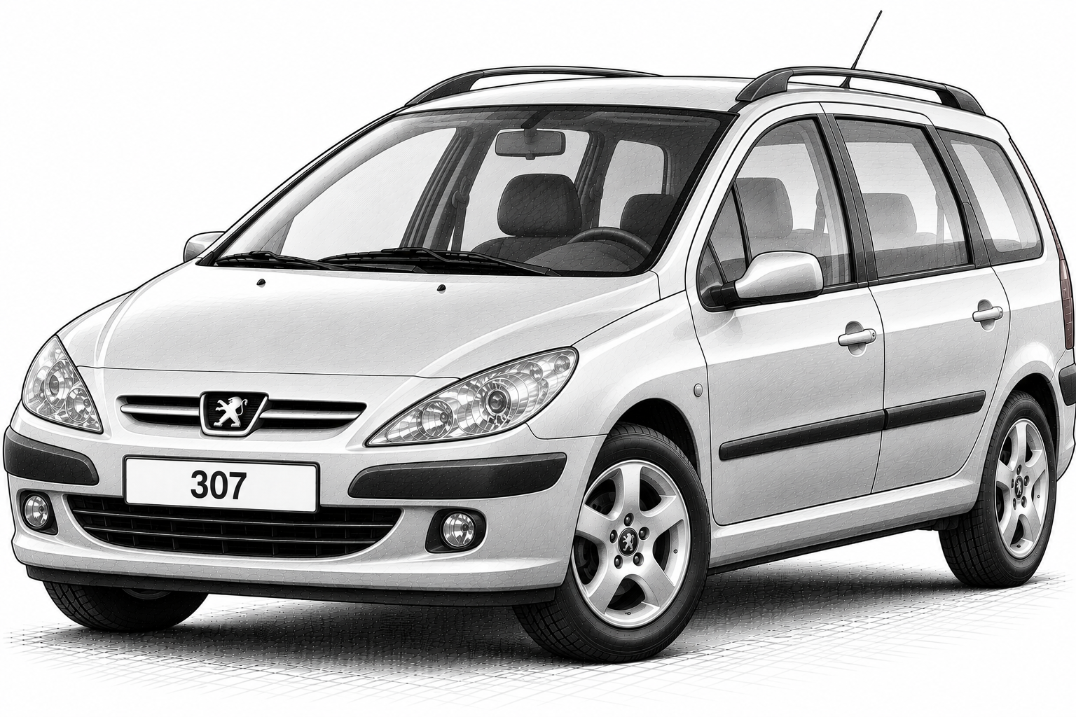 Peugeot 307